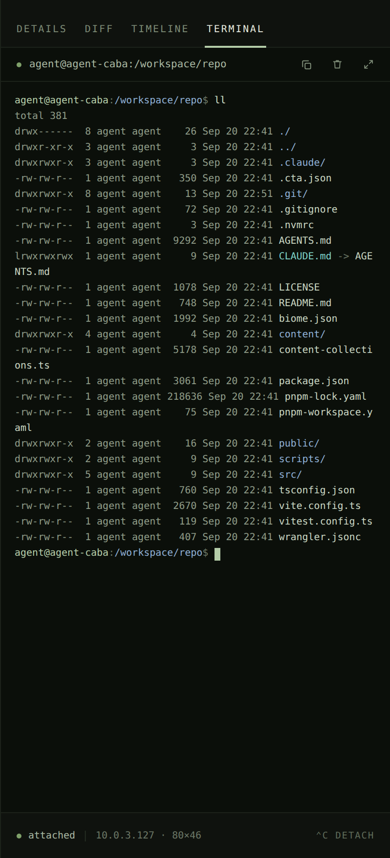 A full terminal session attached to the workspace container